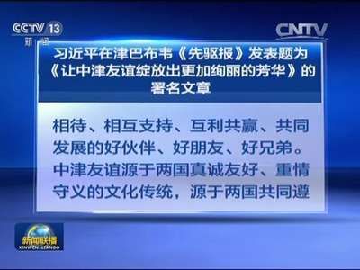 [视频]习近平在津巴布韦《先驱报》发表题为《让中津友谊绽放出更加绚丽的芳华》的署名文章
