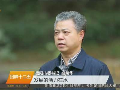 专访岳阳市委书记盛荣华 宜居宜业宜游 门泊世界万里船