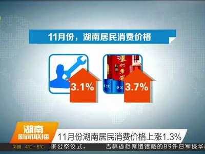 11月份湖南居民消费价格上涨1.3%