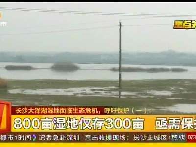 长沙大泽湖湿地面临生态危机 呼吁保护