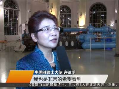 中国驻瑞士大使点赞湖南文化产业