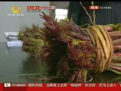 香椿价格高 菜贩提醒当心臭椿冒充