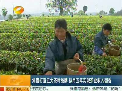 湖南打造五大茶叶品牌 拟用五年实现茶业收入翻番