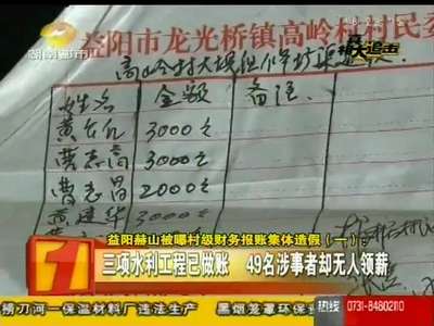 益阳赫山被曝村级财务报账集体造假