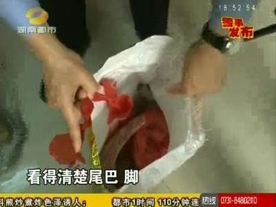 湘潭森林公安破获特大贩卖穿山甲案