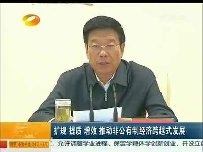 湖南省促进非公有制经济发展大会召开