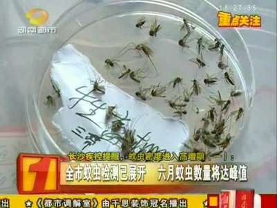 长沙疾控提醒 蚊虫密度进入高增期
