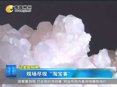 记者逛矿博：现场尽显“淘宝客”