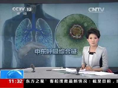 [视频]韩国 关注中东呼吸综合征：韩国确诊病例数上升至41例