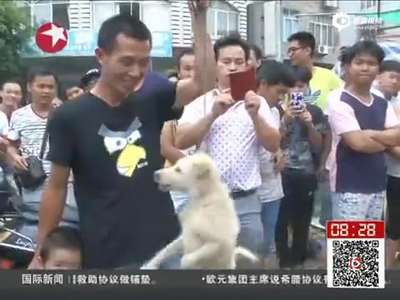 [视频]玉林狗肉节昨开幕 顾客还像往常一样品尝狗肉