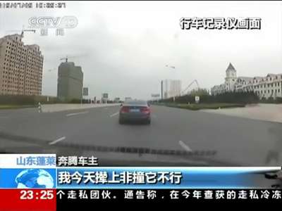 [视频]监拍奔腾嫌宝马慢连鸣笛 斗气飙车连超车致追尾