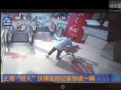 [视频]监控实拍上海“咬人”电梯惊魂一幕