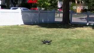 [视频]父亲击落无人机 女儿晒太阳遭“偷窥”