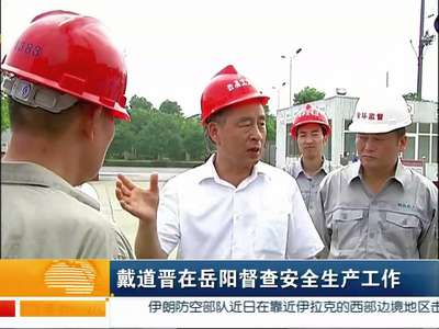 戴道晋在岳阳督查安全生产工作