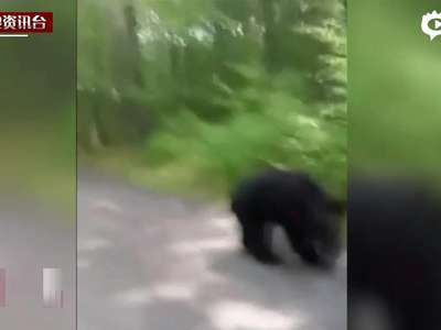 [视频]美国女游客森林中突遇两黑熊 淡定面对毫发未损