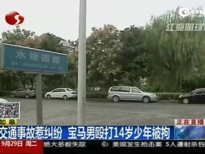 [视频]少年碰擦宝马车后视镜遭暴打 司机疑酒驾