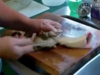 [视频]外媒曝广州餐馆“僵尸鱼” 煮熟后仍在盘中蠕动