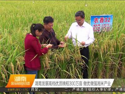 湖南发展高档优质晚稻300万亩 做优做强湘米产业