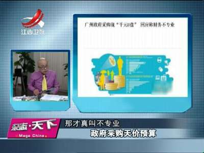 [视频]政府采购天价预算
