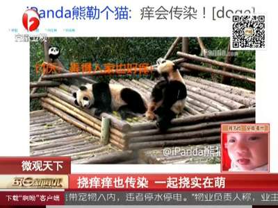 [视频]挠痒痒也传染 一起挠实在萌