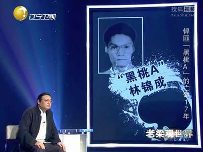 [视频]通缉犯跳楼自杀砸死路人