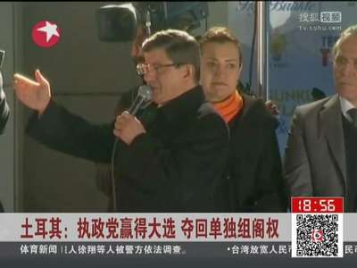 [视频]土耳其执政党赢得大选 夺回单独组阁权