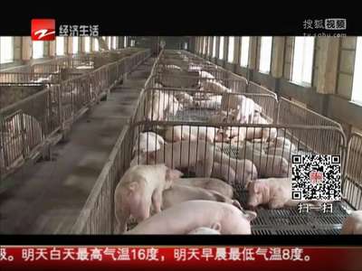 [视频]减少化肥使用28000吨 浙江治理养殖污染成效明显