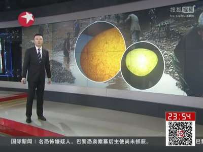 [视频]疯狂的石头：普通石英 并非宝石