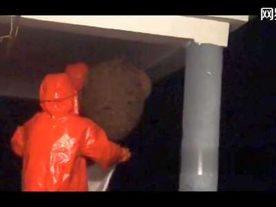 [视频]市民家门口现巨型马蜂窝:比脸盆还大