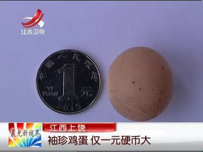 [视频]江西上饶：袖珍鸡蛋 仅一元硬币大