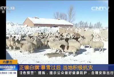 [视频]内蒙古 正镶白旗：暴雪过后 当地积极抗灾