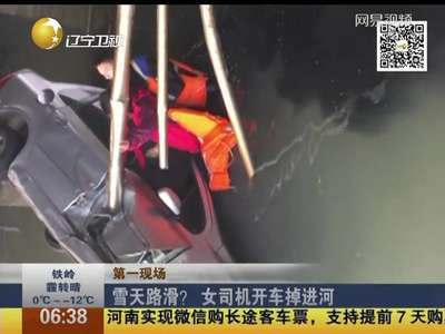 [视频]雪天路滑 女司机撞破护栏开车掉进河
