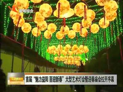 益阳：首届“魅力益阳 喜迎新春”大型艺术灯会