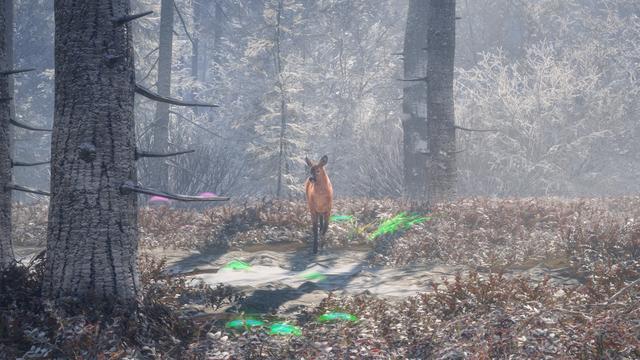 《猎人:荒野的召唤》新DLC梅德韦泰嘉国家公