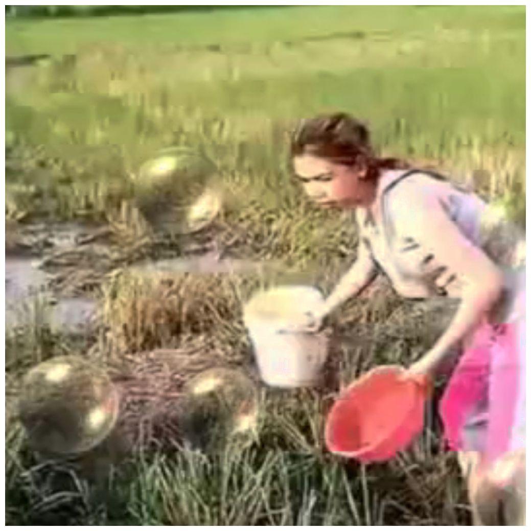 美女光脚下塘里捕鱼,这抓鱼的技术真是让人想不到