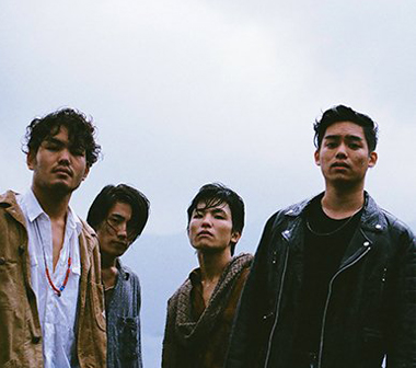 【特写时间】The fin.