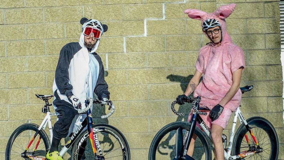 熊猫大战粉红兔 恶意卖萌不如相约骑车