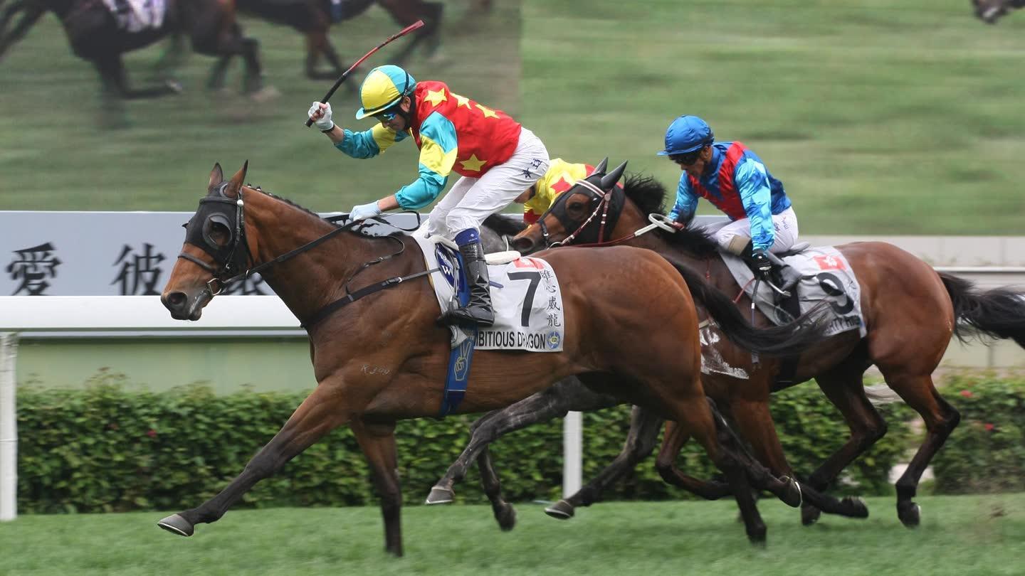 香港民众沙田马场群贺岁 看赛马奔腾愿财运亨通