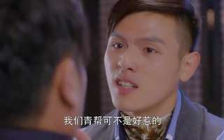 戴流苏耳环的少女分集剧情_电视剧戴流苏耳环