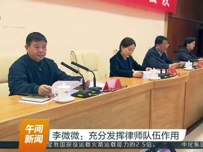 李微微：充分发挥律师队伍作用