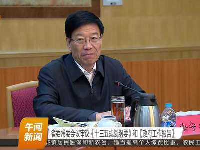 省委常委会议审议《十三五规划纲要》和《政府工作报告》