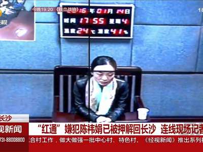 “红通”嫌犯陈袆娟已被押解回长沙