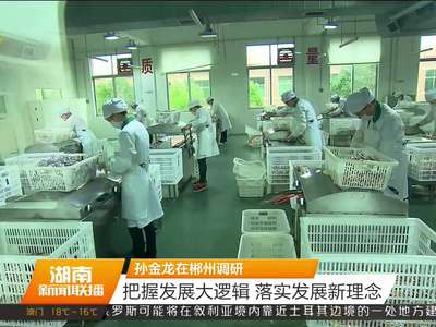 孙金龙在郴州调研：把握发展大逻辑 落实发展新理念