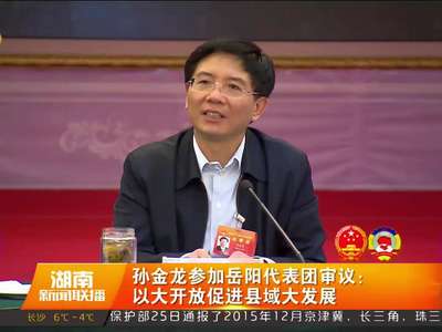 孙金龙参加岳阳代表团审议
