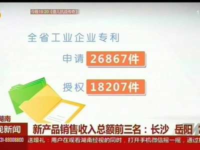 2015年湖南企业技术创新发展报告