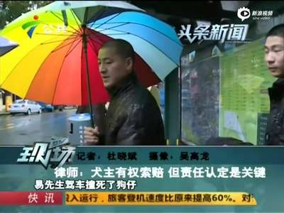 [视频]车主撞死小狗 狗主将尸体放车头索赔狗粮费