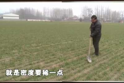 [视频]总理足迹：河南西关村农民张炳彦回访