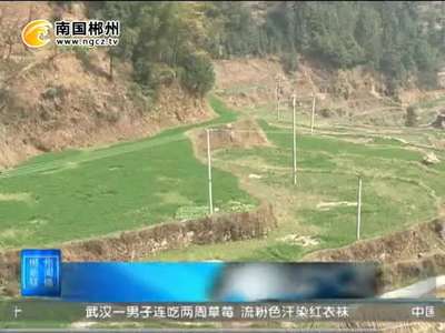 郴州：农技人员田间忙