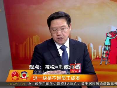两会约访：热议“精准减税”