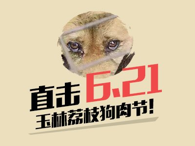 宠物慈善持续传承